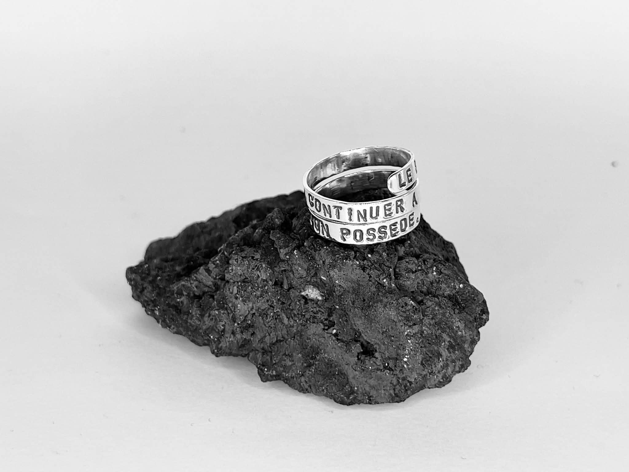 "LE BONHEUR C'EST DE CONTINUER A DESIRER CE QUE L'ON POSSEDE."