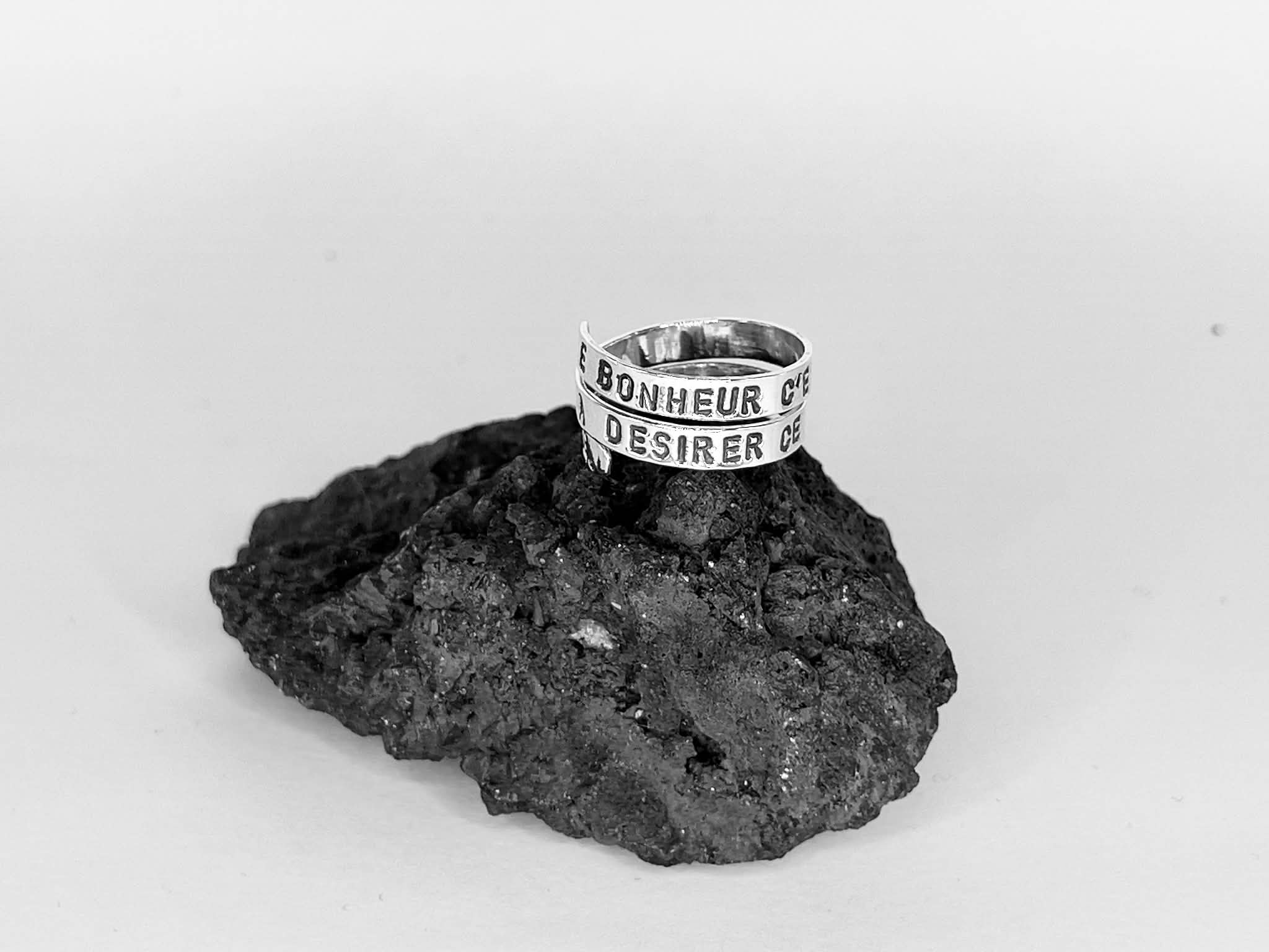 "LE BONHEUR C'EST DE CONTINUER A DESIRER CE QUE L'ON POSSEDE."