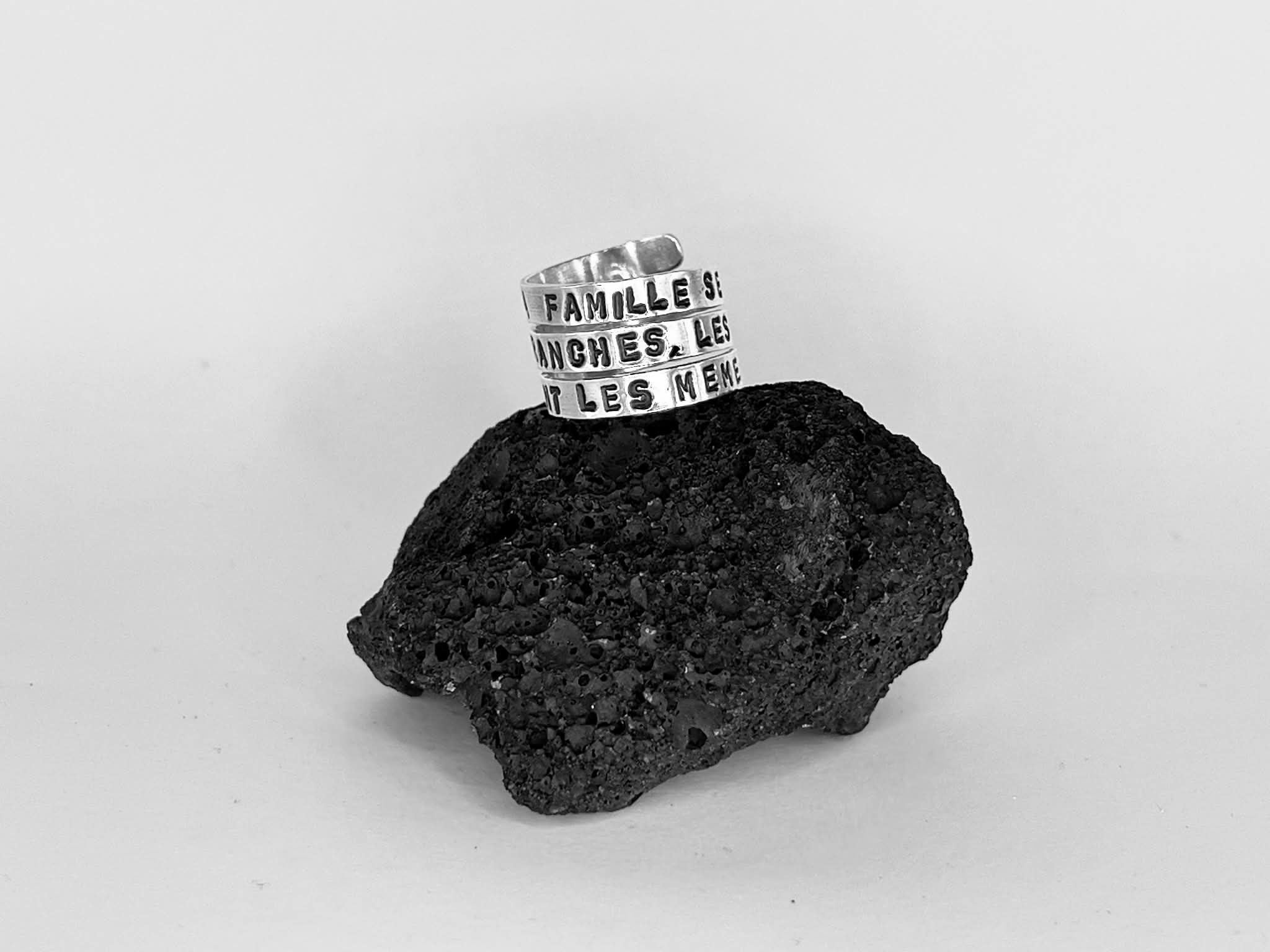 "MEME SI LA FAMILLE SE SEPARE EN BRANCHES, LES RACINES RESTENT LES MEMES."