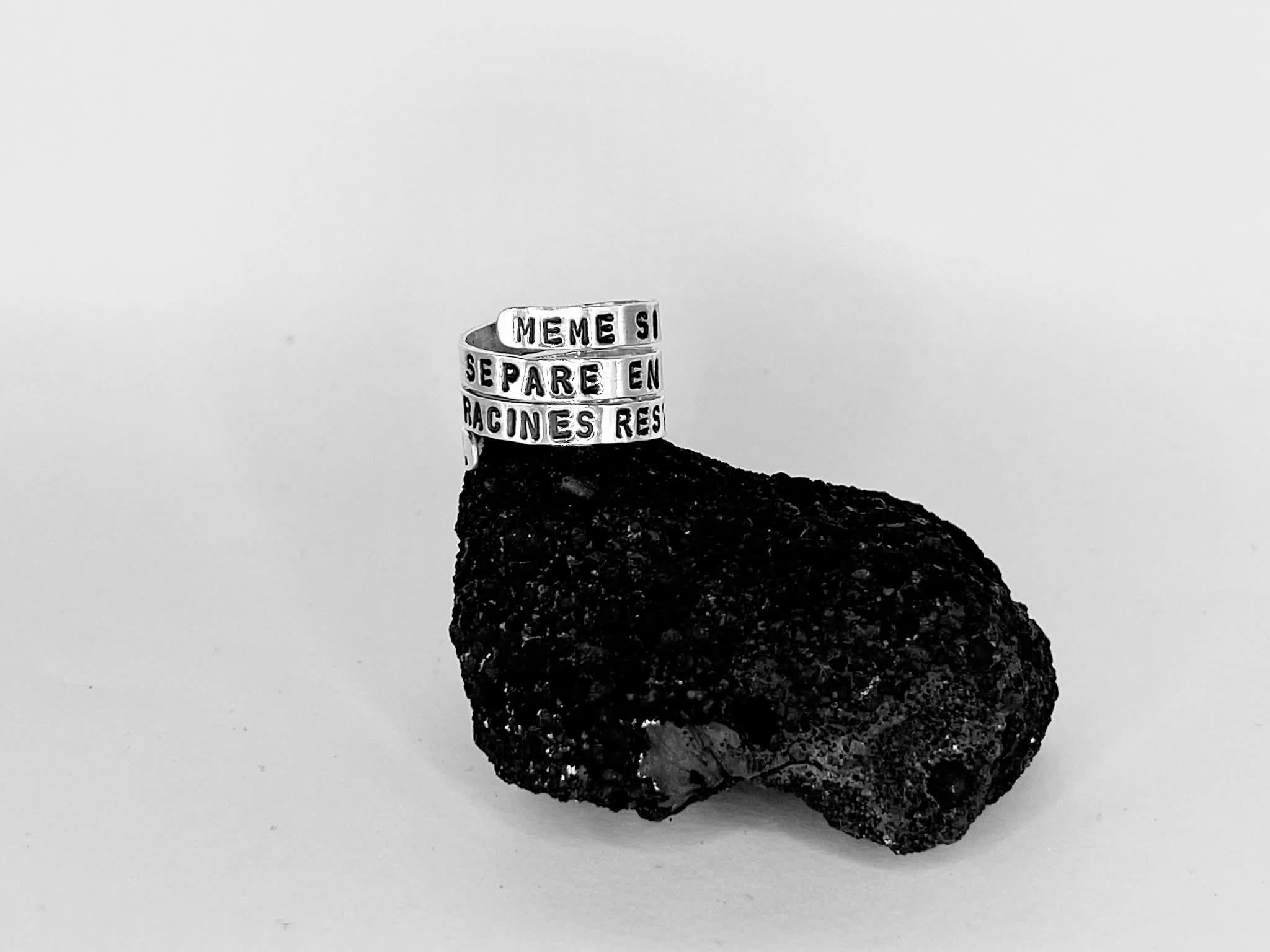 "MEME SI LA FAMILLE SE SEPARE EN BRANCHES, LES RACINES RESTENT LES MEMES."